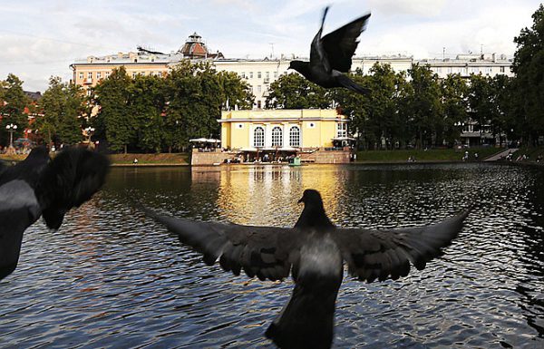 Почему защищают «грелку»